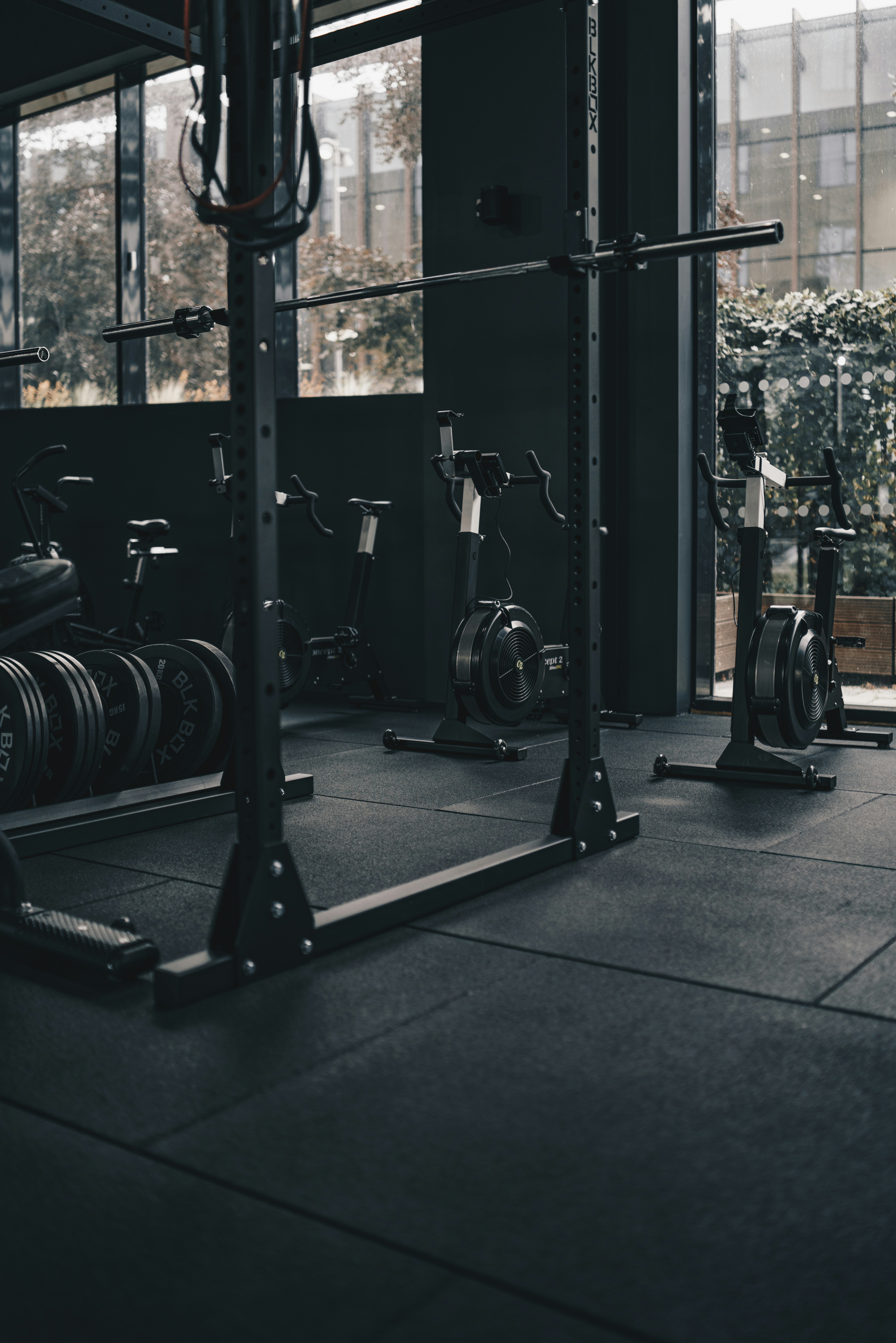 Programas de Entrenamiento